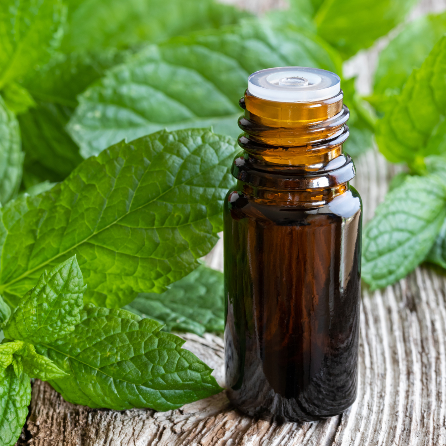 Ecobutik aceite esencial puro de menta